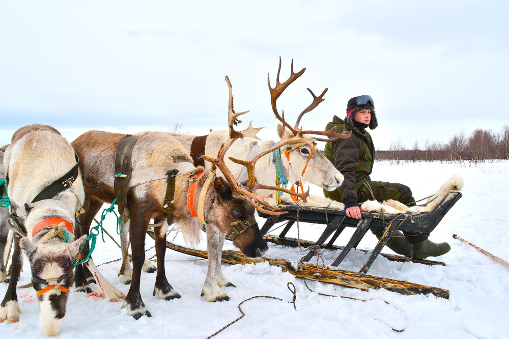 Photograph by Tanzilya Gabidullina