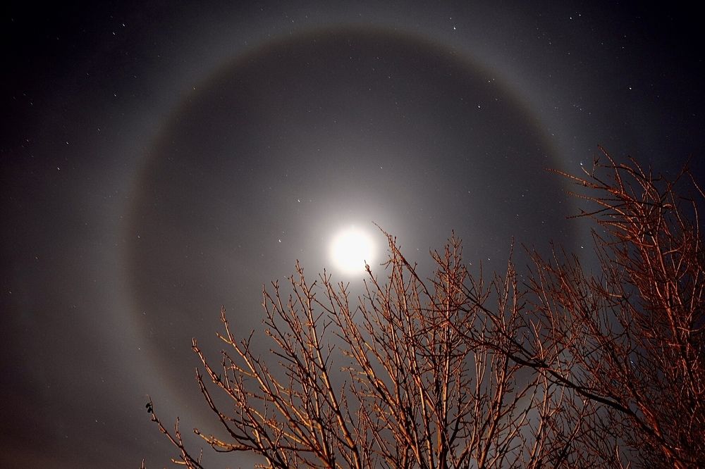 Photograph by Анастасия Клевец