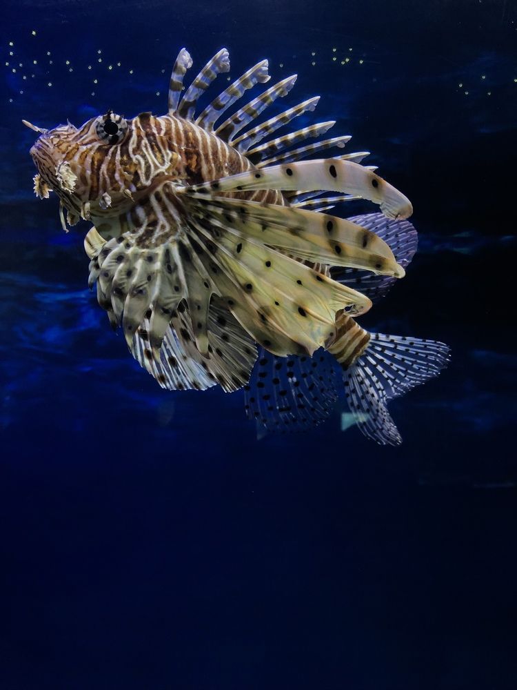 Photograph by Анастасия Козлова