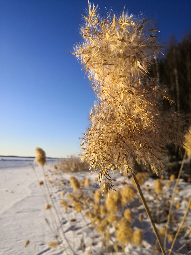 Photograph by Серафима Силина