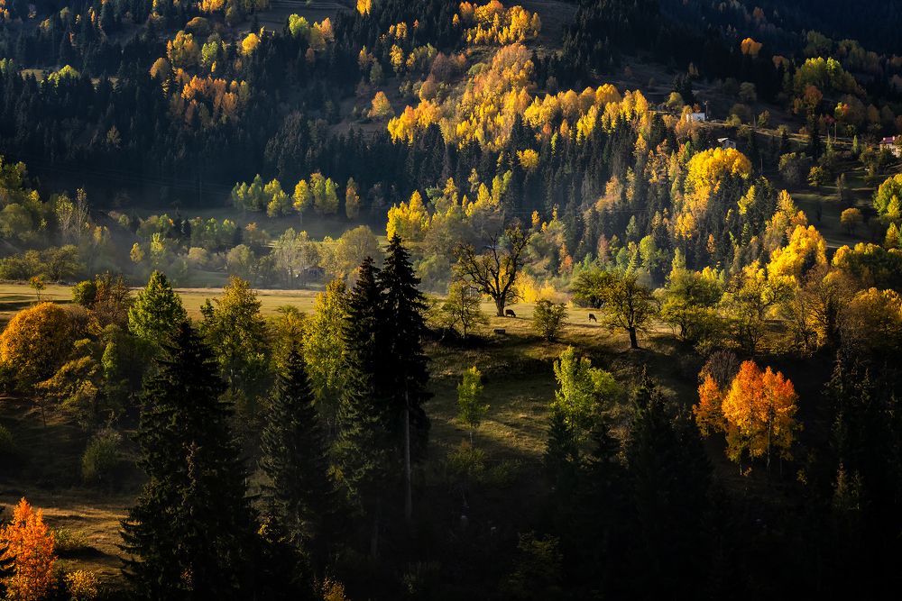 Фотография автора Fikriye Er