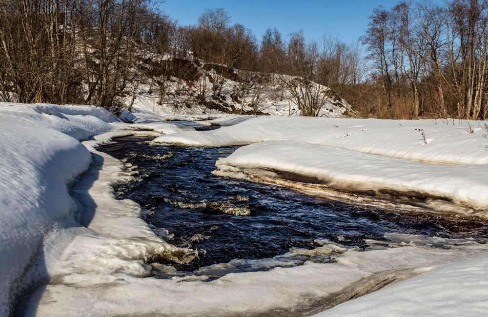 Photograph by Игорь Сидун