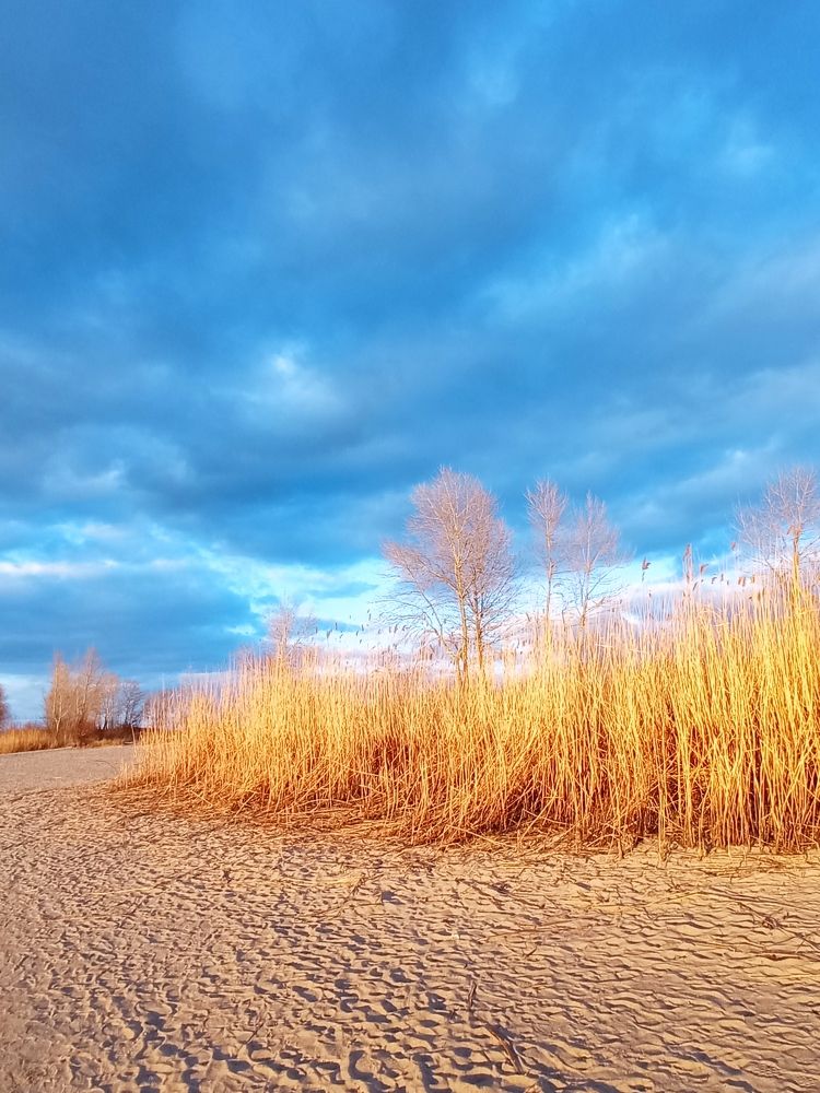 Фотография автора Олена Литвин