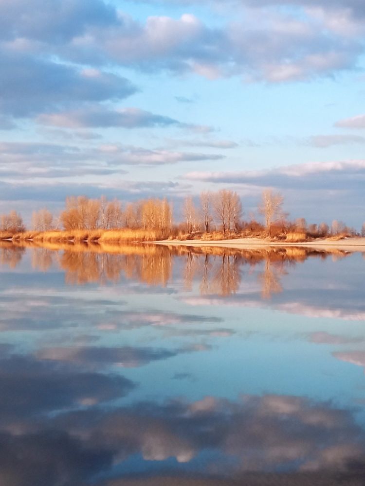 Фотография автора Олена Литвин