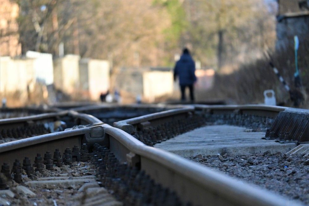 Фотография автора IRINA FILIPPOVA