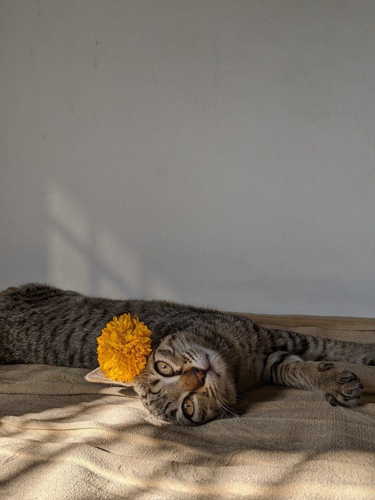Photograph by Udhayakumar Saravanan