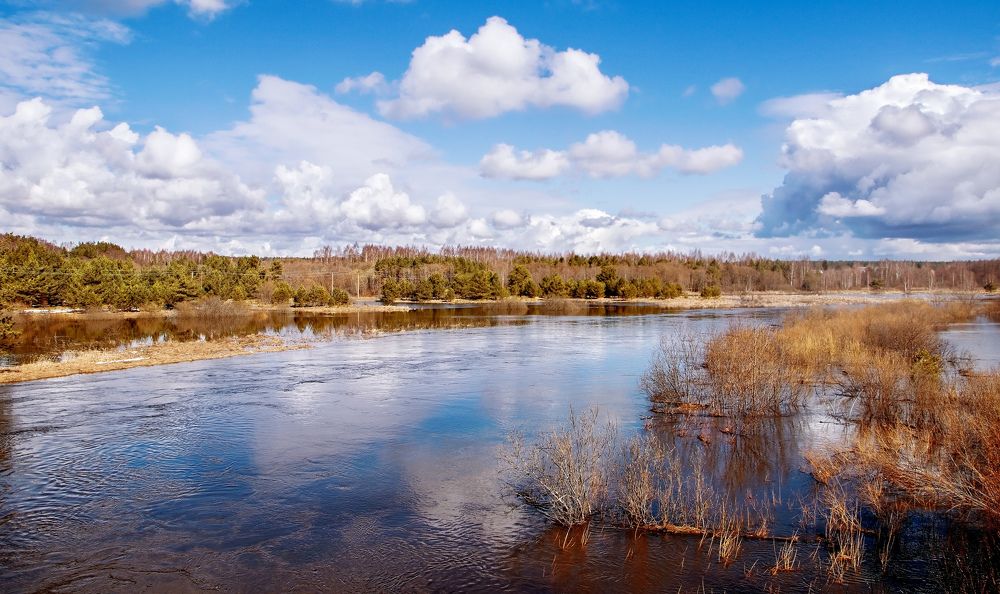 Photograph by Орлова Сетлана