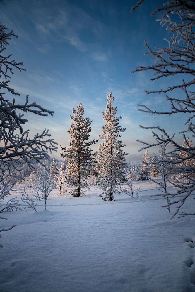 Photograph by Артемий Соловьёв