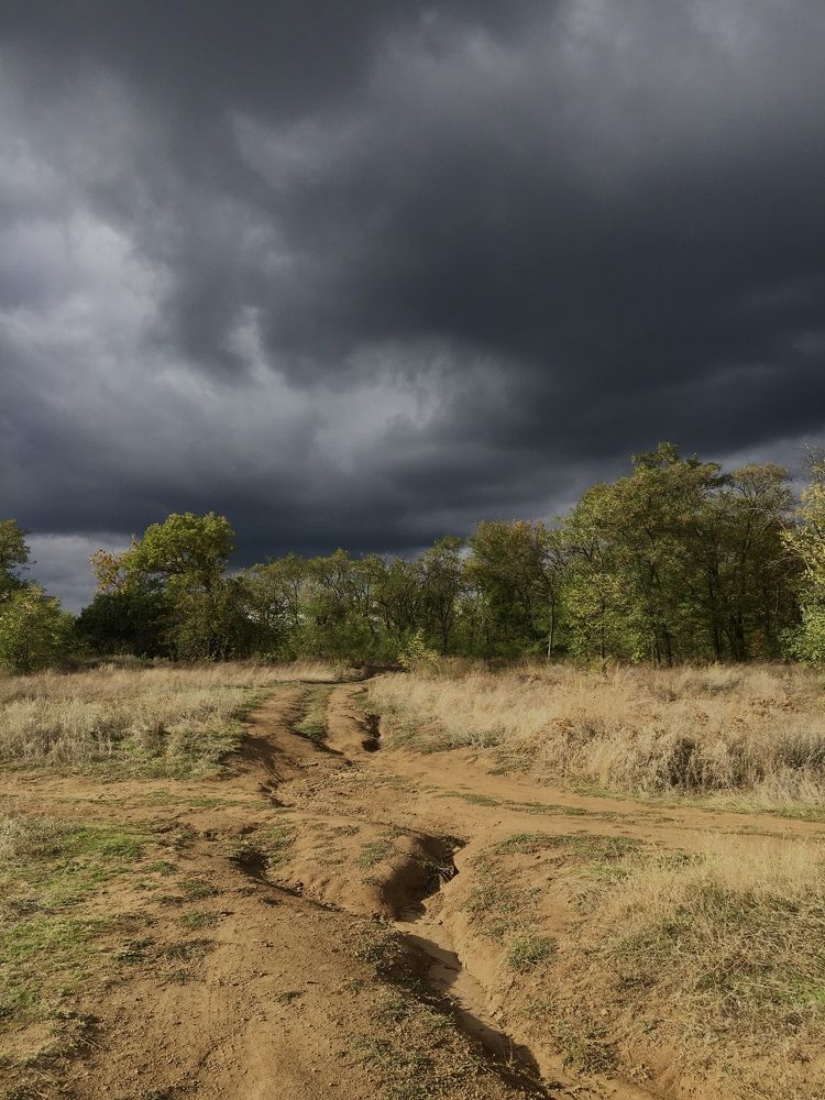 Photograph by Ольга Новикова