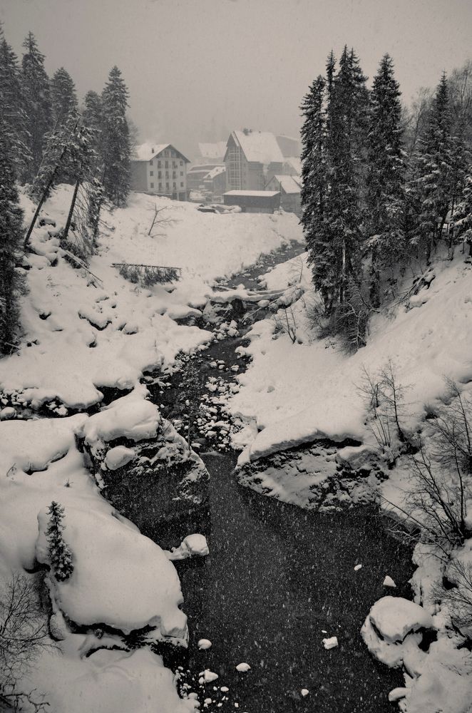 Снегопад в Домбае