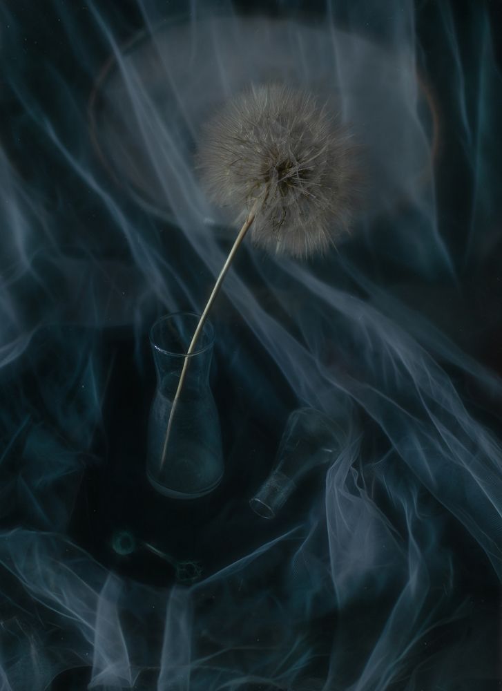 Photograph by Svoboda Andreeva