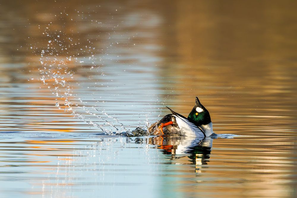 Photograph by Zaheer Aslam Khan