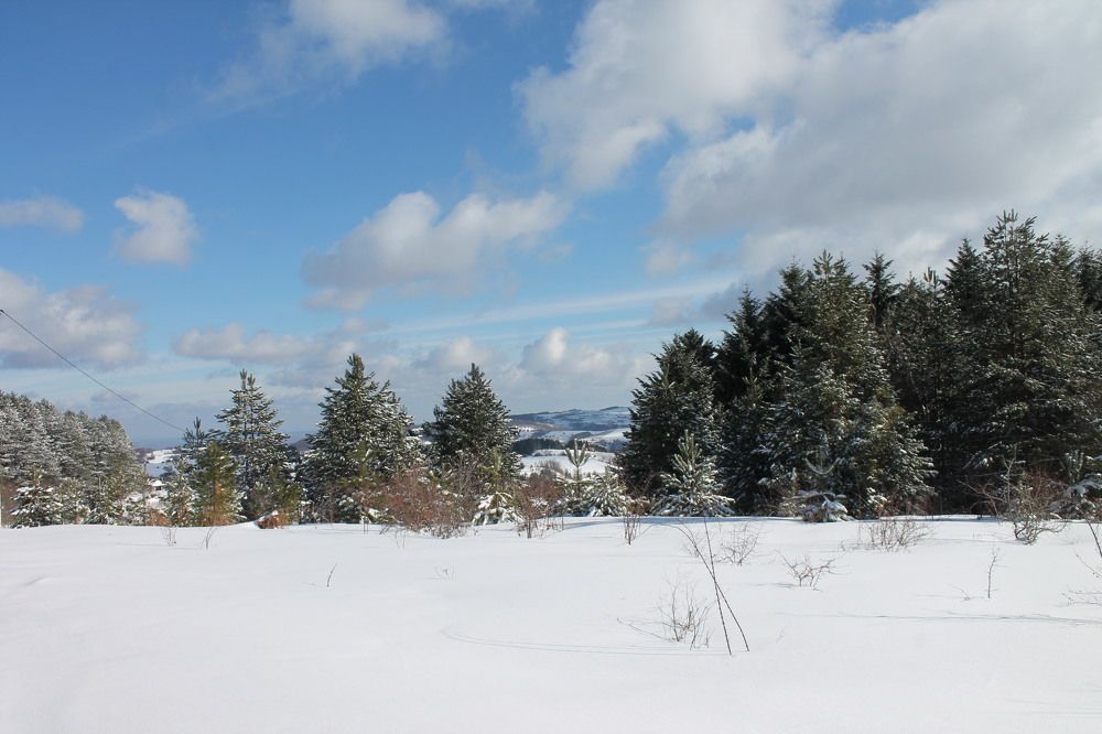 Photograph by Ljiljana Nedeljković