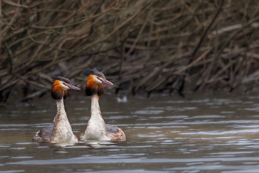 Photograph by Zaheer Aslam Khan