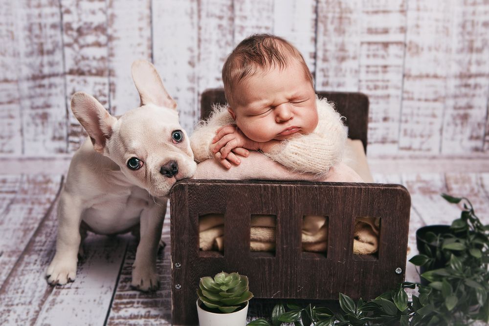 Photograph by Риэр Алла