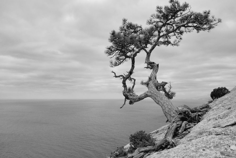 Photograph by Ольга