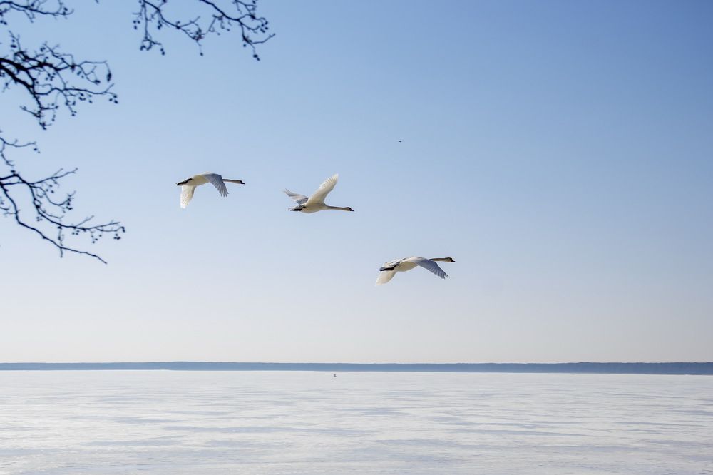 Photograph by Анна-Лаймуте Милошевич