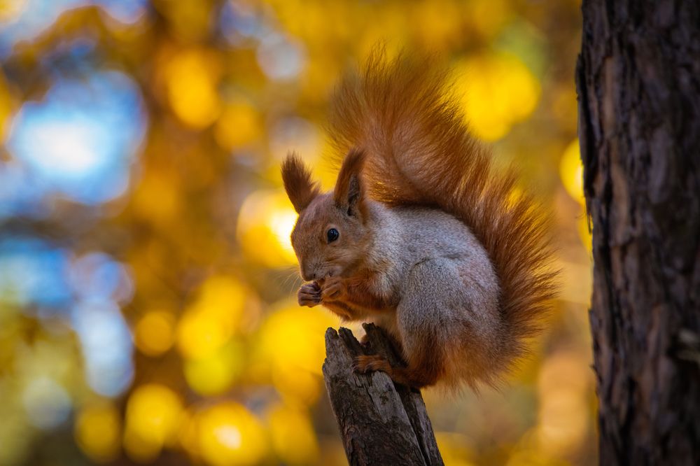Photograph by Дмитрий Тимин