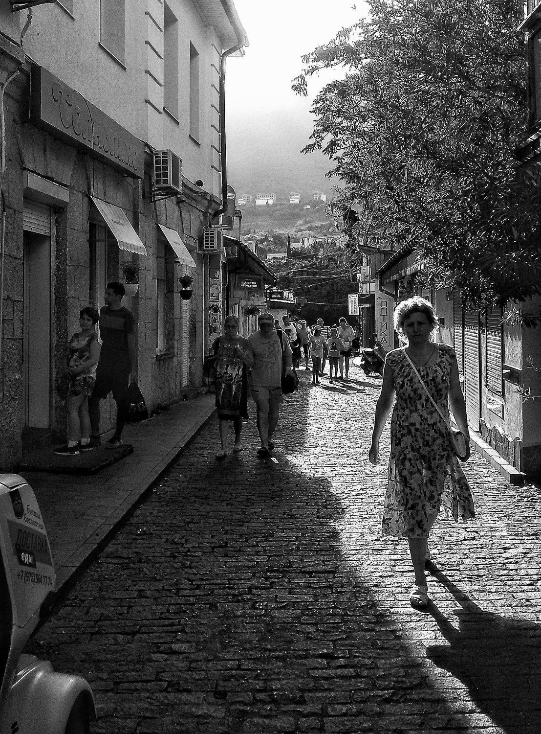 Photo #7451126