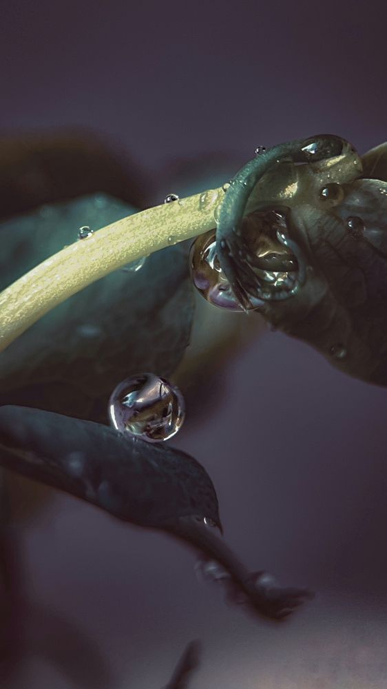 Photograph by Оксана Юсупова