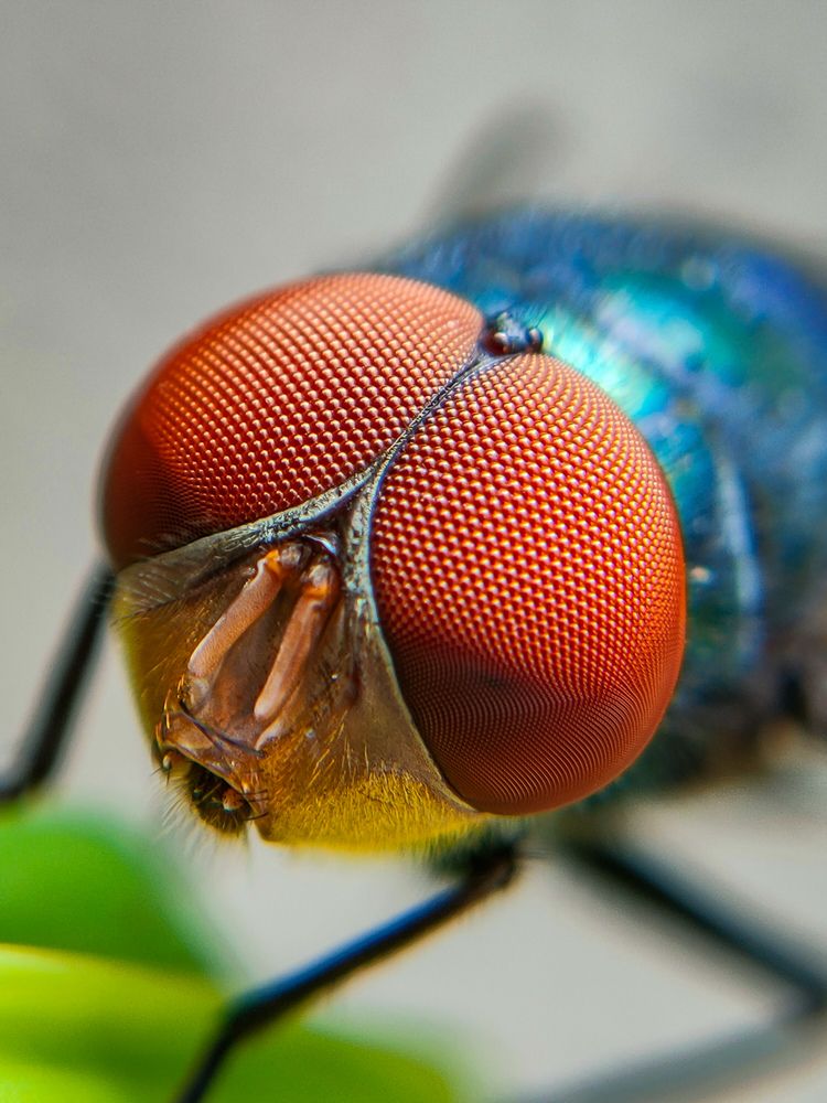 Photograph by Ajeesh A