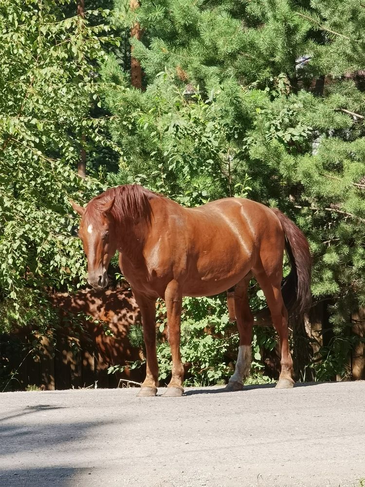 Photograph by Наталья Круглова