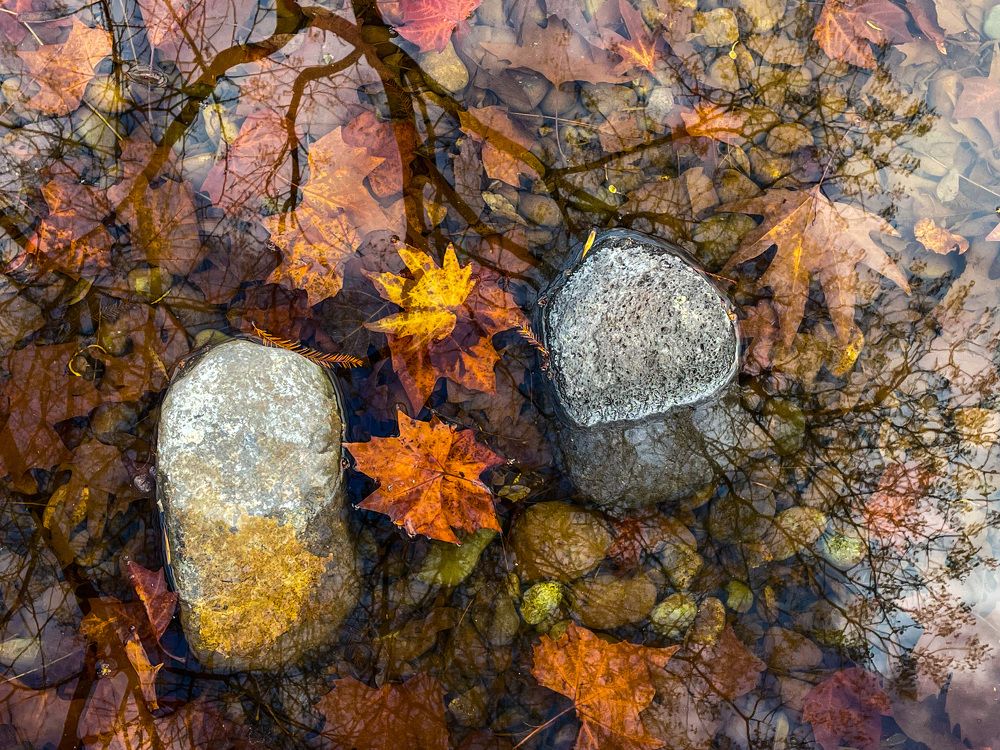 Photograph by Olga Semyonova