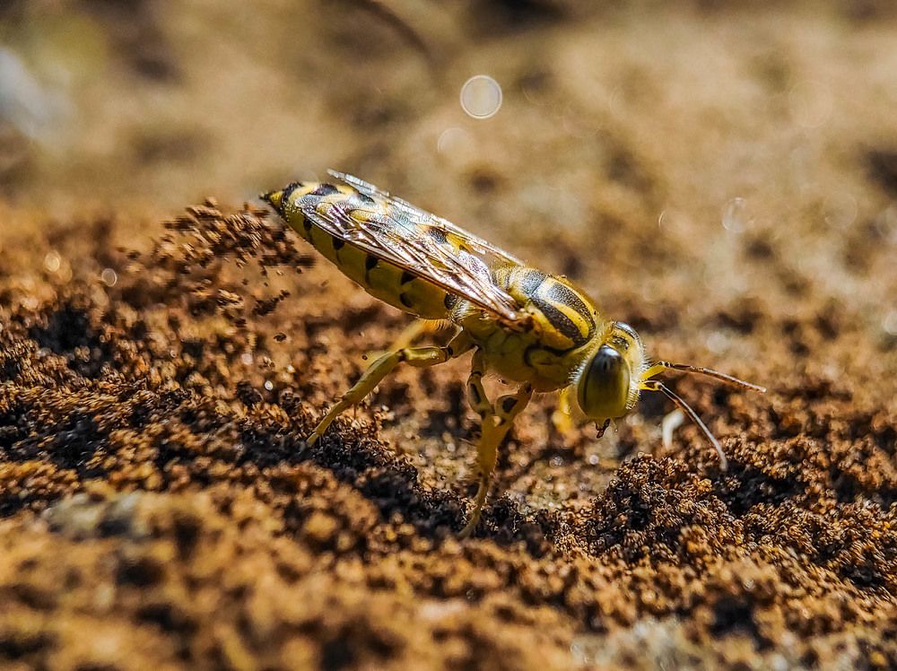 Photograph by Dharmendra Padhiyar