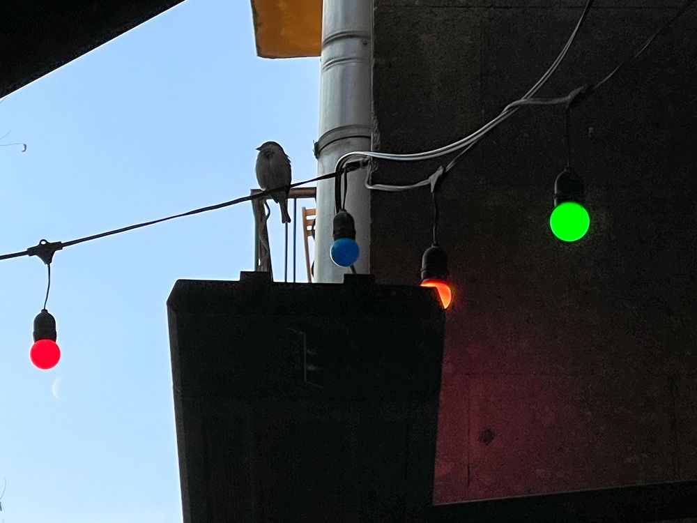 Photograph by Olga Semyonova