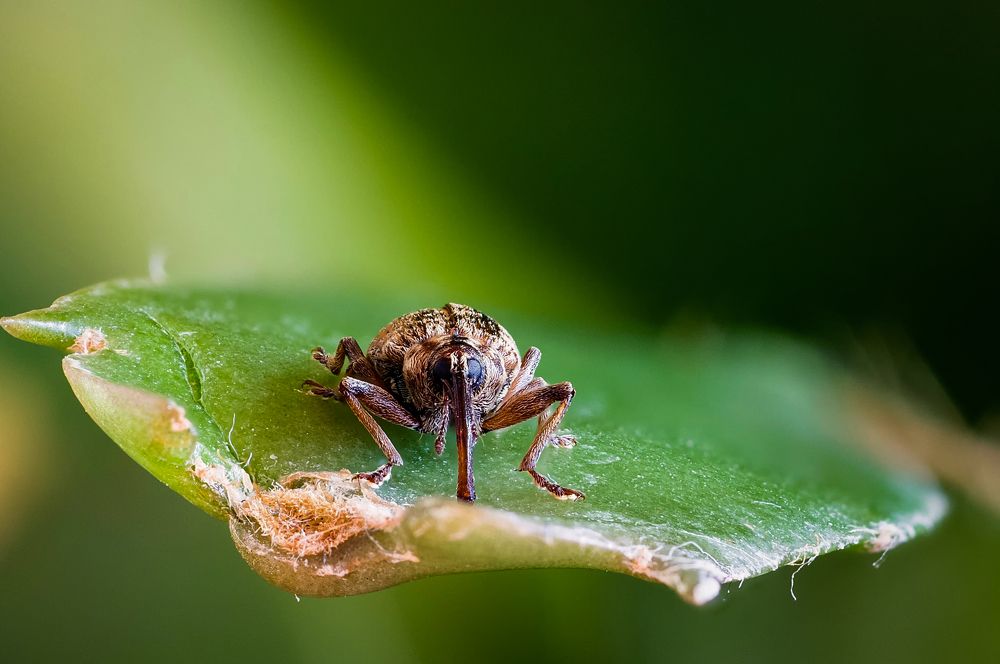 Photograph by Юрий Яковлевич