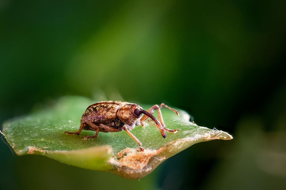 Photograph by Юрий Яковлевич