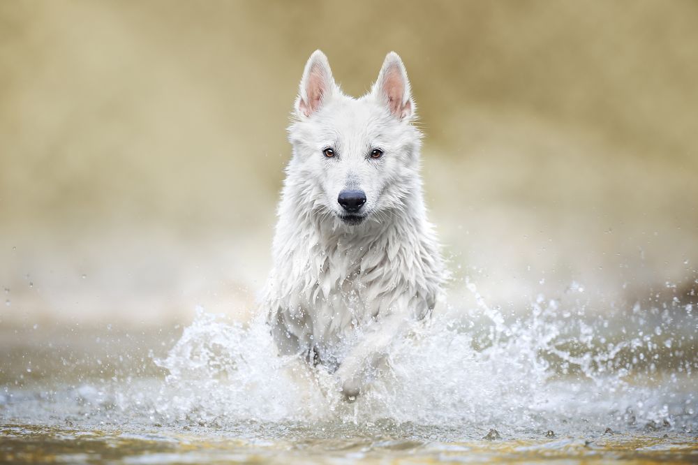 Keyla, angelic power!