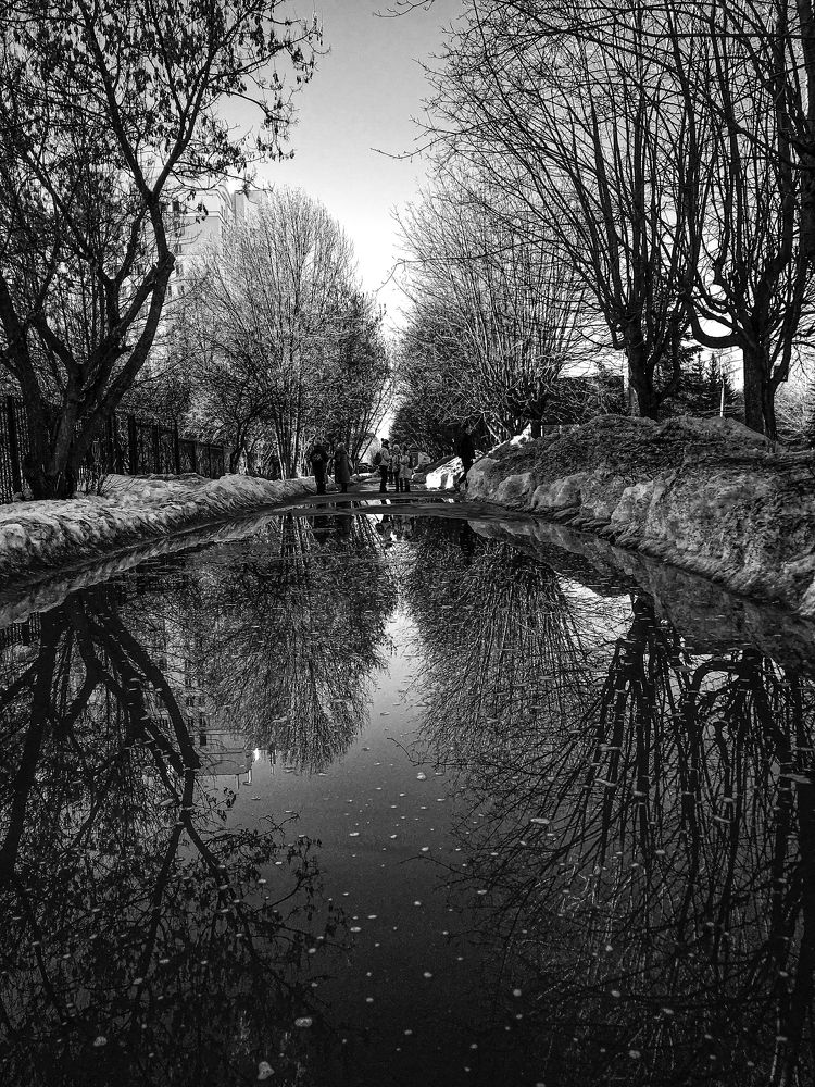 Photograph by Алексей Попов