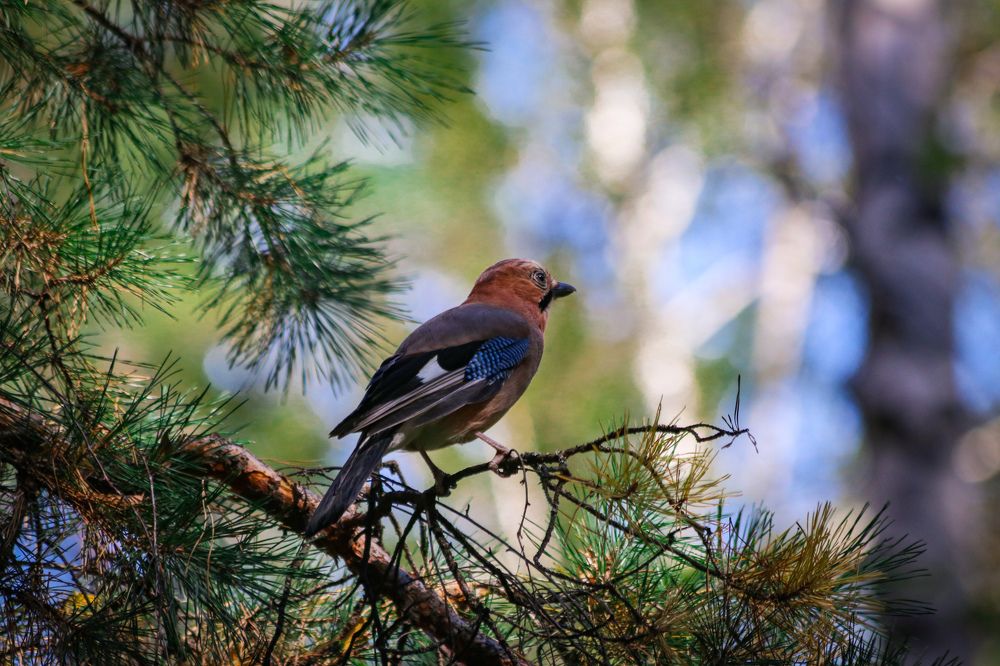 Photograph by Дмитрий Тимин