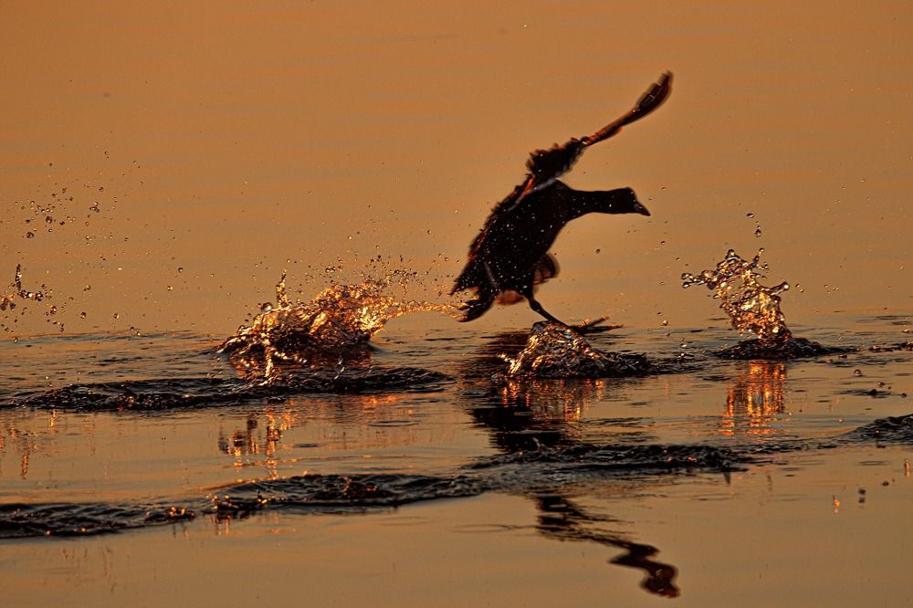 Photograph by Anna Suchcicka