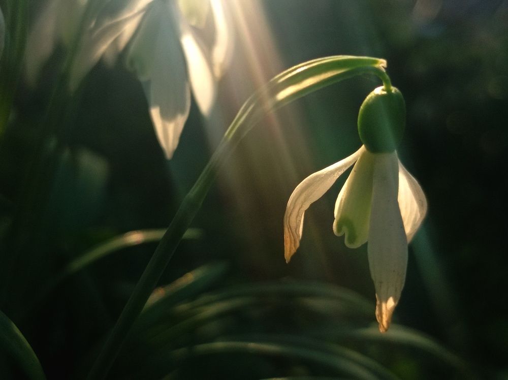 Photograph by Запылаева Анна