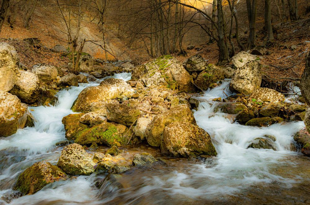 Photograph by Teodora Todorova