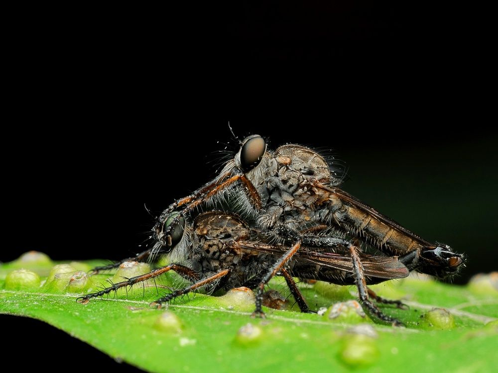 Photograph by Soujanya Bhadra