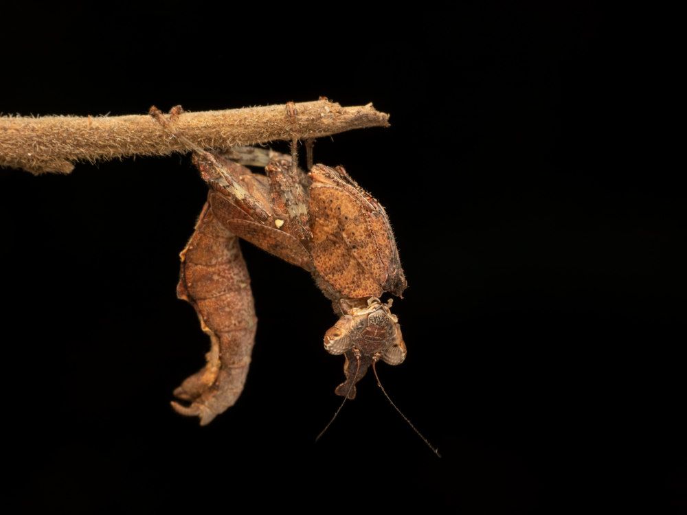 Photograph by Soujanya Bhadra