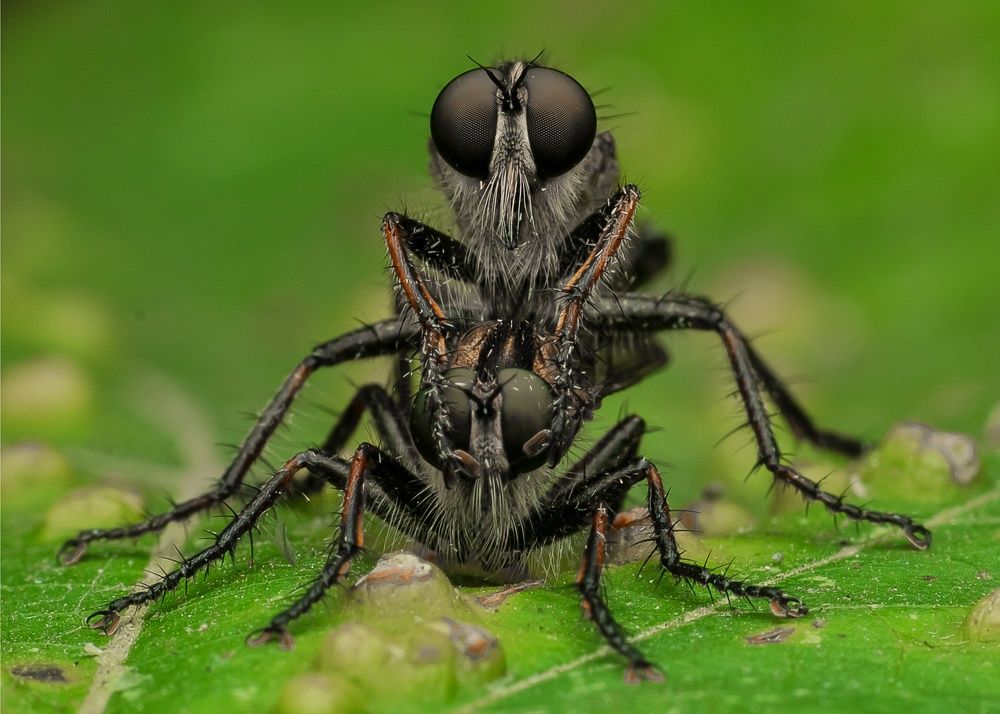 Photograph by Soujanya Bhadra