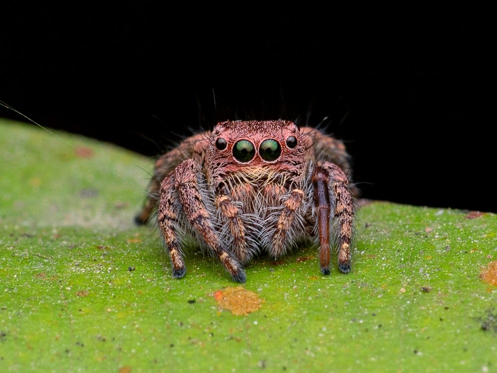 Photograph by Soujanya Bhadra