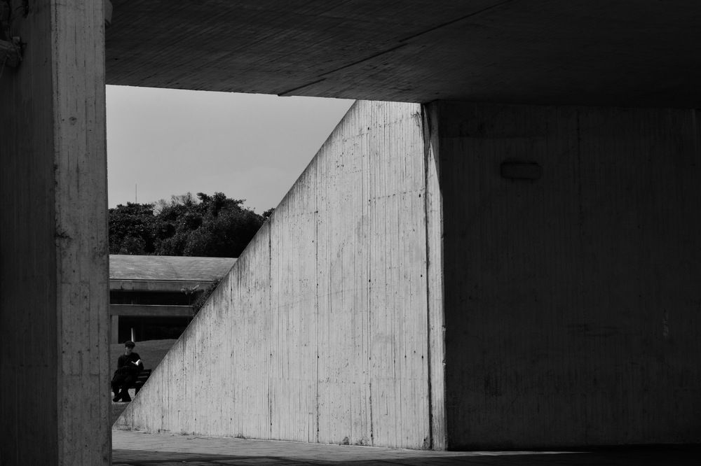 Photograph by andres david sanchez