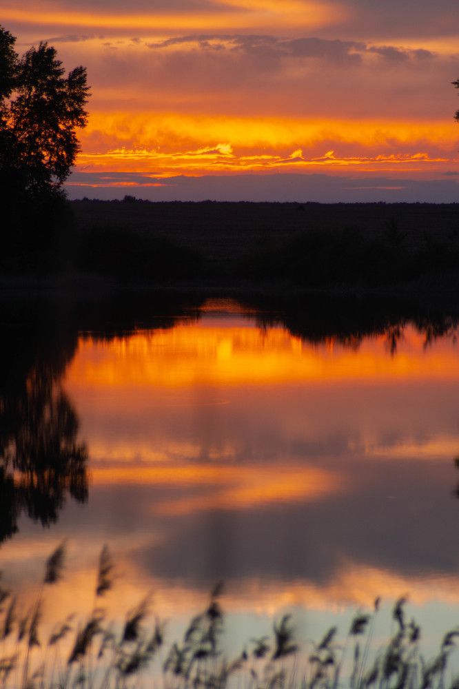 Photograph by Ирина Кошлюнова