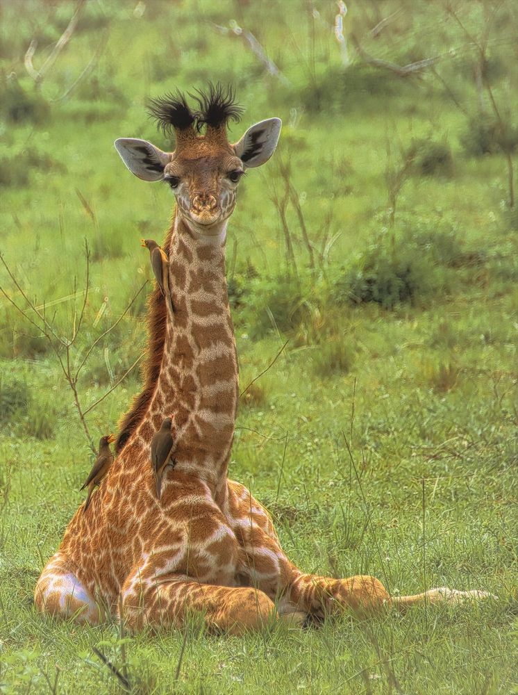 Photograph by Epp Tappel