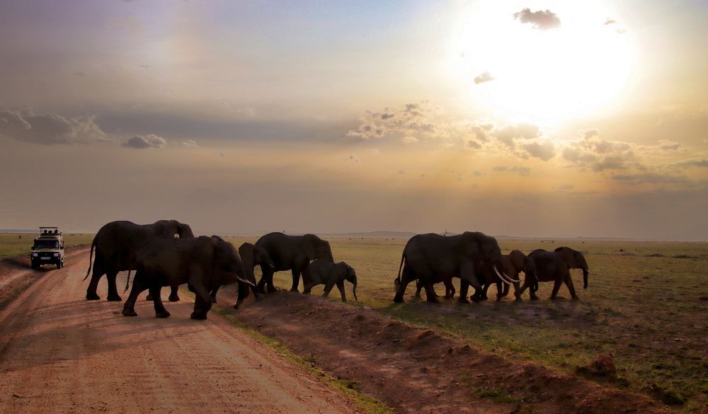 Photograph by Epp Tappel