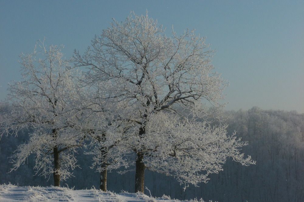 Photograph by Александр Кизим