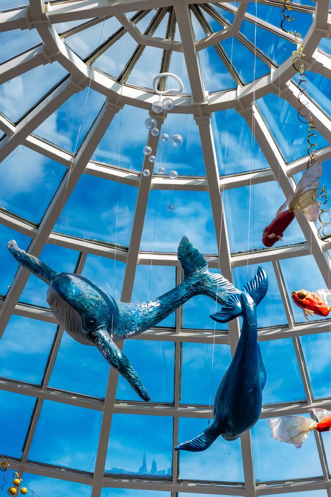 Photograph by Михаил Костыря