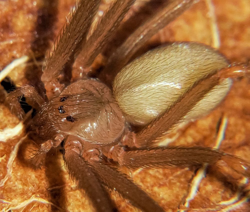 Фотография автора Mahdi Mohammadi