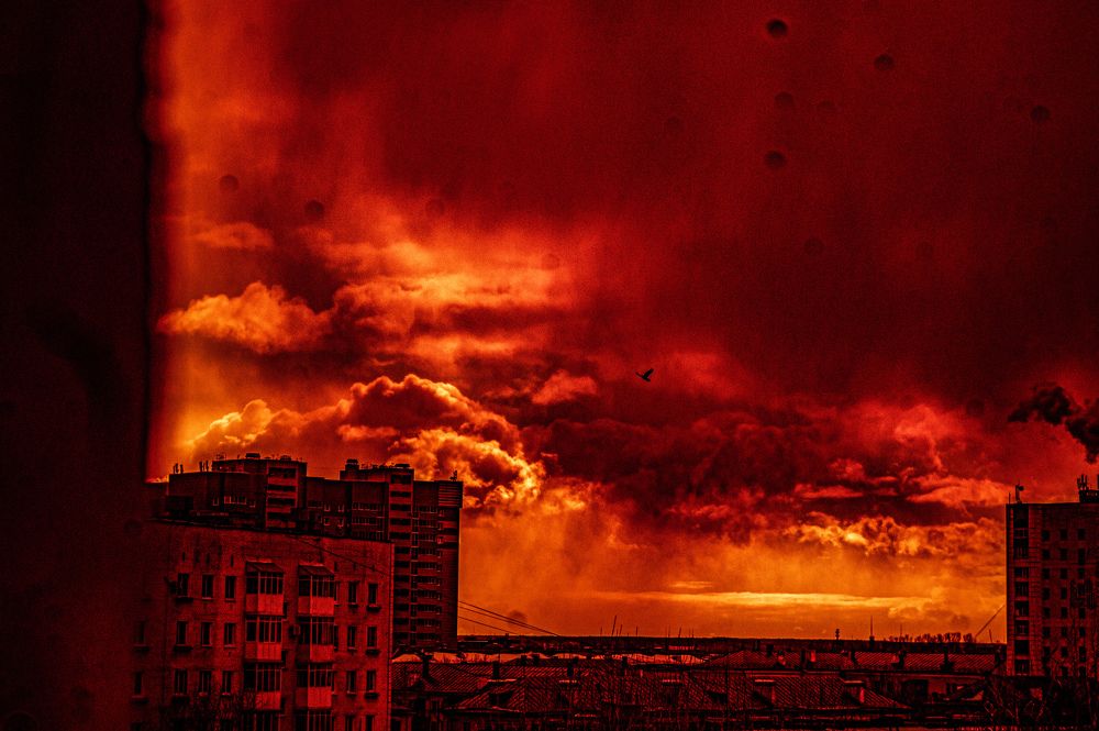 Photograph by José Oliveira