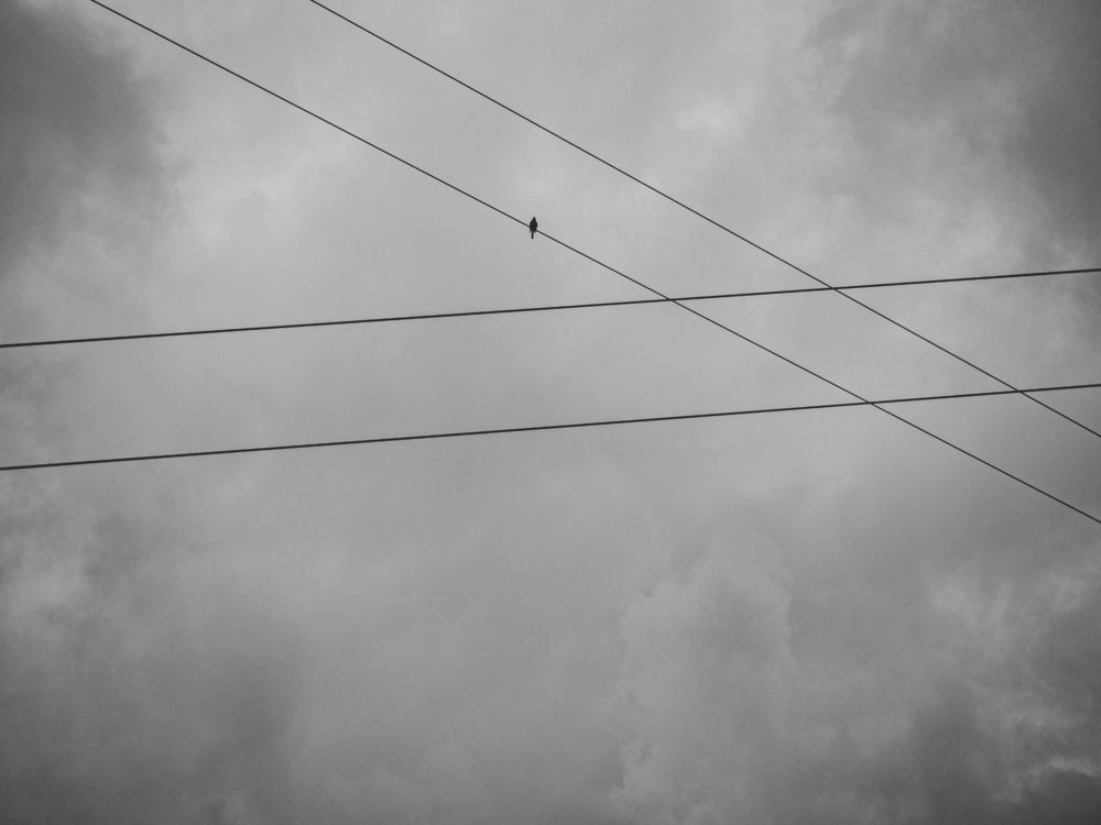 Фотография автора Luana Martinez